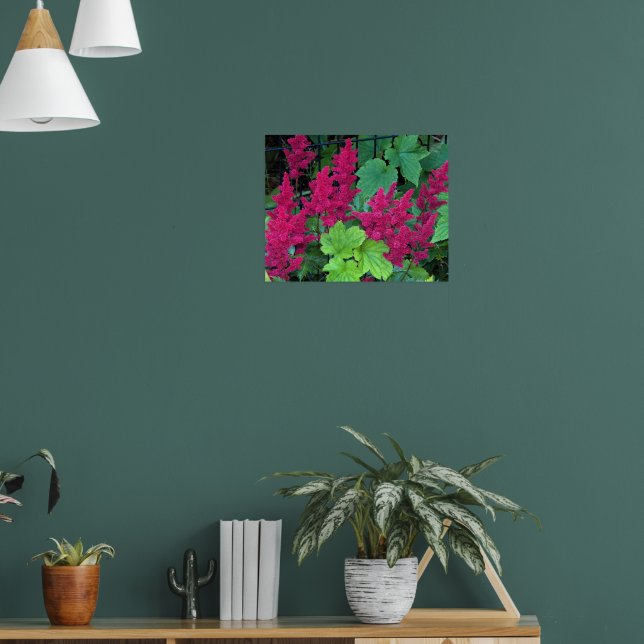 Djup Rosa Astilbe Blommor Blommig Poster (Vardagsrum 1)