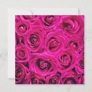 Djup Rosa Blooming Ro Kort