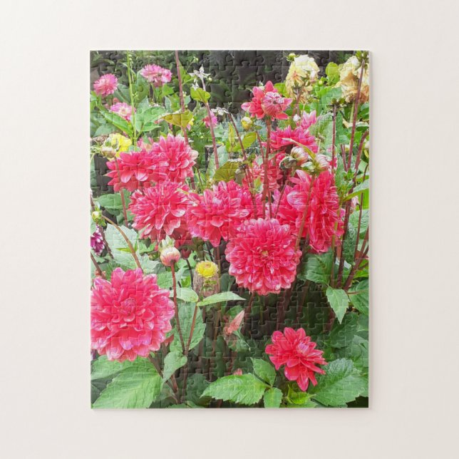 Djup Rosa Dahlias Jigszle Puzzle Pussel (Vertikal)