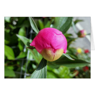 djup rosa hälsningskort
