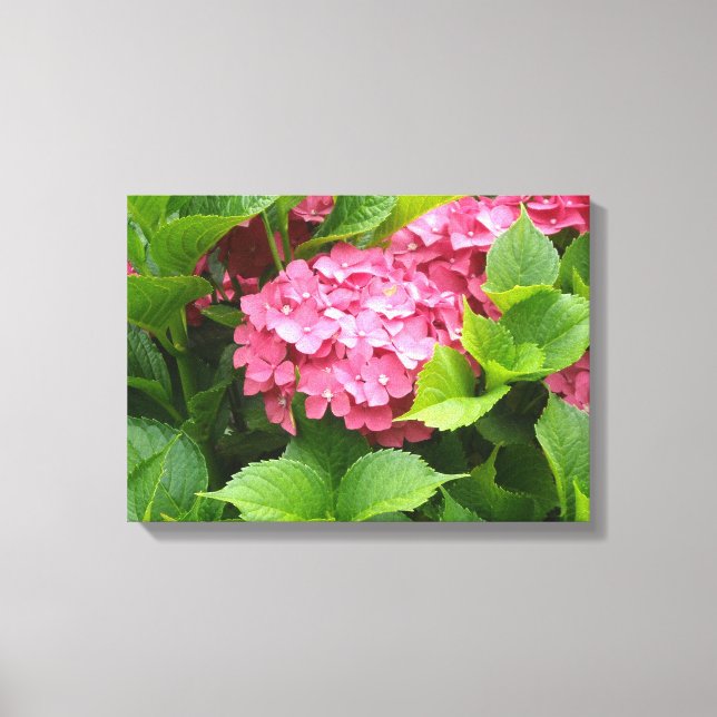 Djup Rosa Hydrangea Blommar Canvastryck (Framsida)