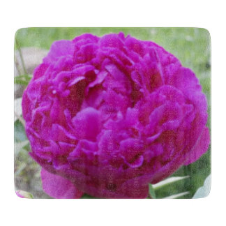 Djup rosa peonmycket liten glasskärbräda