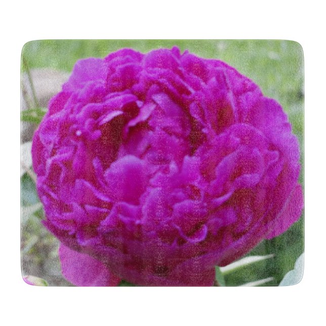 Djup rosa peonmycket liten glasskärbräda (Framsidan)
