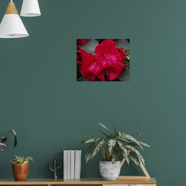 Djup Rosa Rhododendron Blomning Blommig Fotografis Poster (Vardagsrum 1)