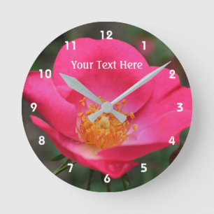 Djup Rosa Ros I Blomning Blomma Rund Klocka
