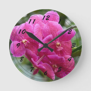 Djup Rosa Vanda Orchid Rund Klocka
