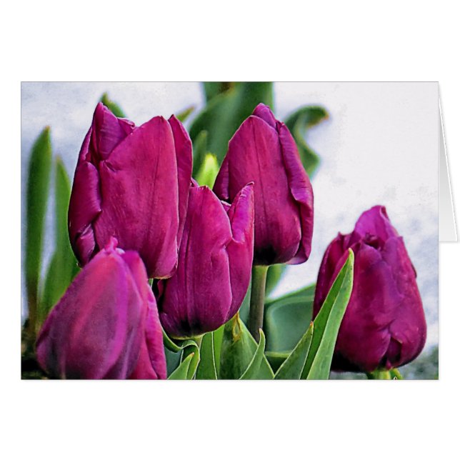 Djupa Rosa Tulips Hälsningskort (Framsidan Horizontal)