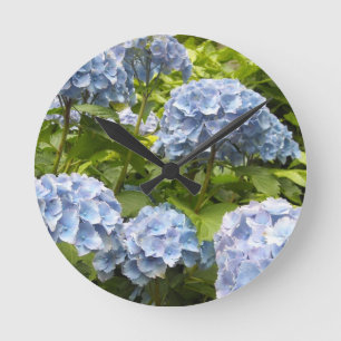 Djupblå vanlig hortensia rund klocka
