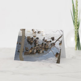 Djupfryst damm med ankor helgkort