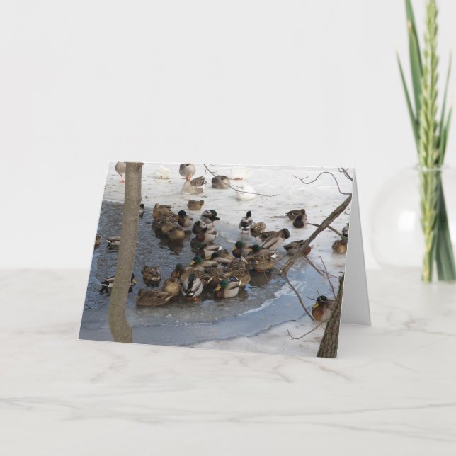 Djupfryst damm med ankor helgkort (Framsida)