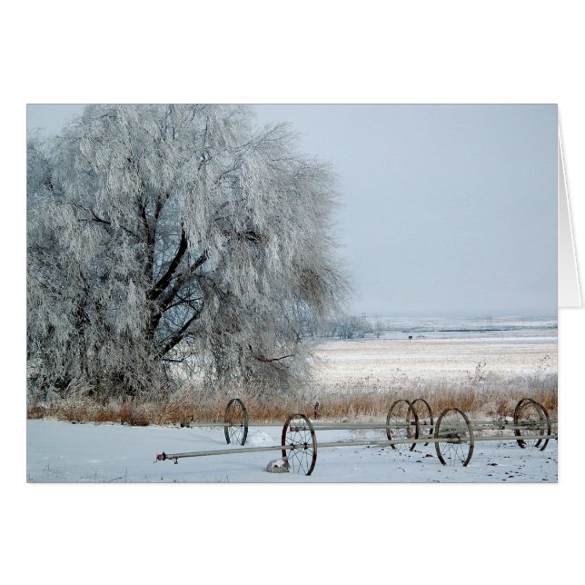 Djupfryst fält hälsningskort (Framsidan Horizontal)