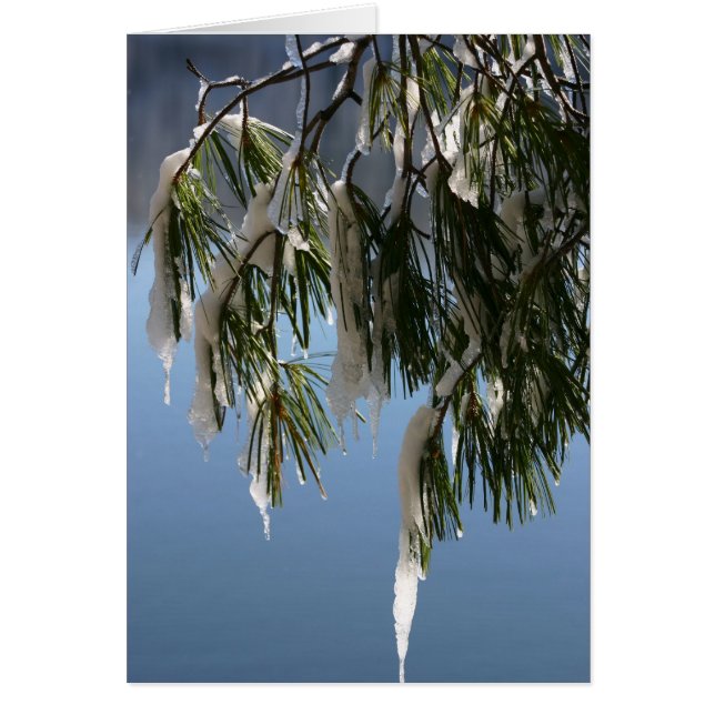 Djupfryst gren hälsningskort (Framsidan)