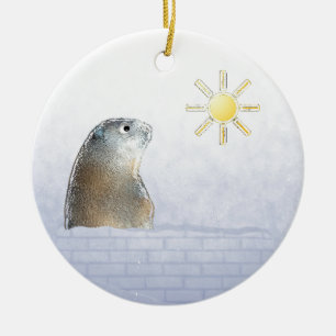Djupfryst Groundhog Julgransprydnad Keramik