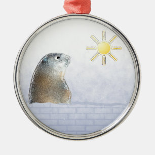 Djupfryst Groundhog Julgransprydnad Metall