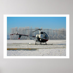 Djupfryst Schweizer 300C Poster