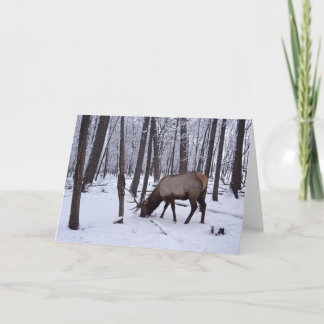 Djupfryst skog kort