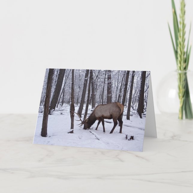 Djupfryst skog kort (Framsida)