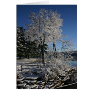 Djupfryst träd hälsningskort