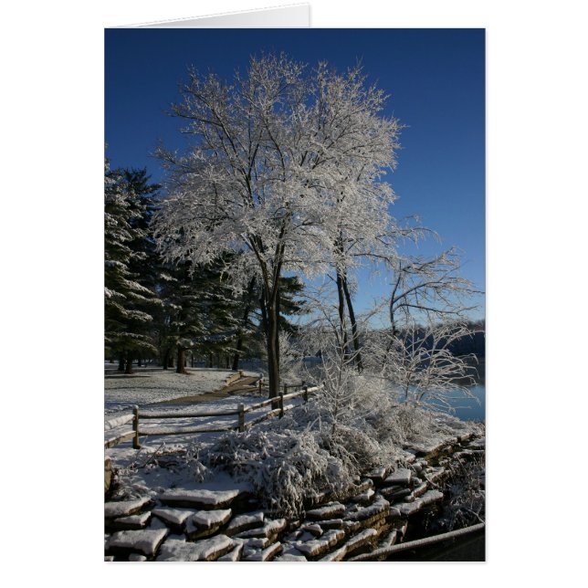 Djupfryst träd hälsningskort (Framsidan)