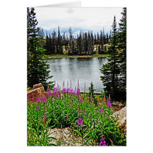 Djupgående Rosa Flowers vid Sjö, Blank Inside Hälsningskort
