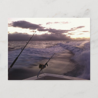 Djuphavsfiske Vykort