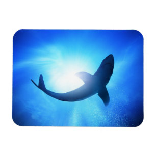 Djuphavshaj Silhouette Magnet