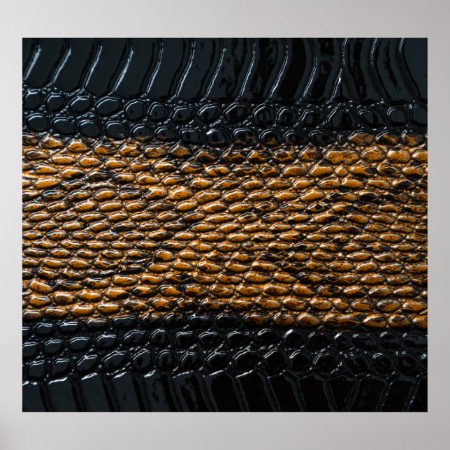 Djuphavssnäckor struktur poster (Framsidan)