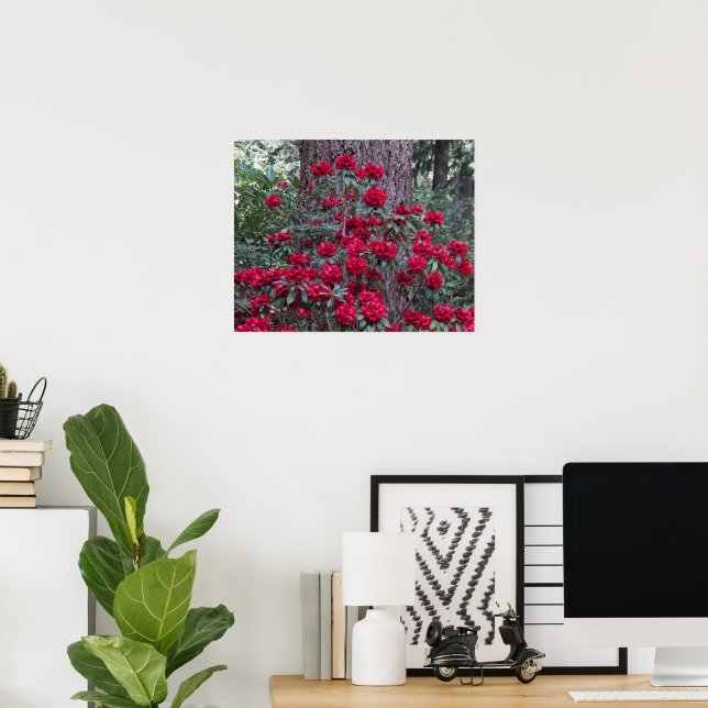 Djupröda Rhododendron Blommor Fotografiska Poster (Hemmakontoret)