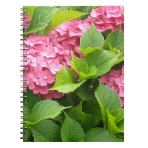 Djuprosa Hydrangeor Anteckningsbok Med Spiral