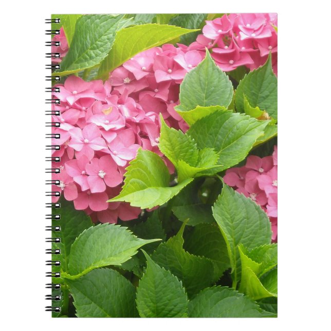 Djuprosa Hydrangeor Anteckningsbok Med Spiral (Framsidan)