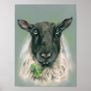 Djupt får med Shamrocks Poster