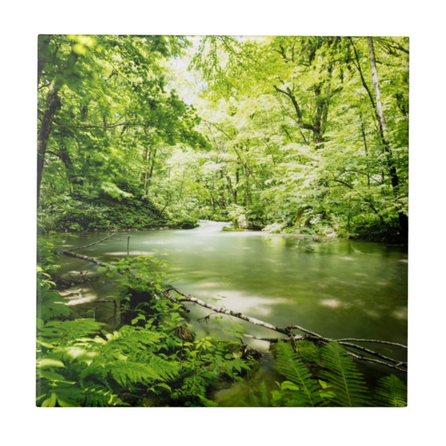 Djupt in i skogen kakelplatta (Framsidan)