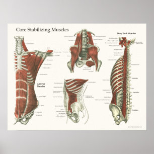 Djupt & kärna ur den stabiliserande poster
