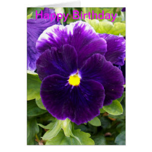 Djupt Lila Pansy-födelsedagskort Hälsningskort