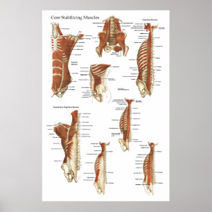 Djupt och kärna ur den stabiliserande poster