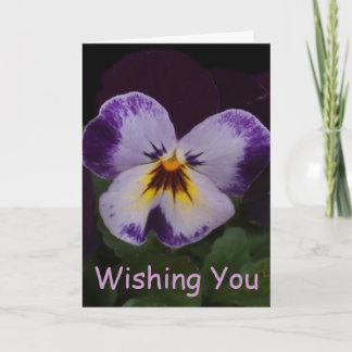Djupt - purpurfärgade vitPansies Kort