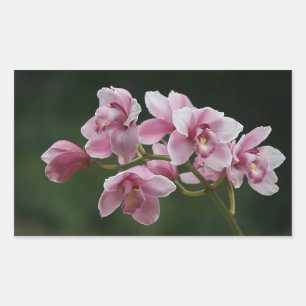 djupt - rosa orchidrektangelklistermärke rektangulärt klistermärke