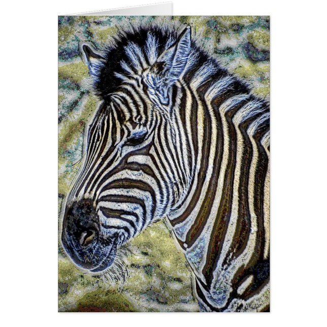 Djur36 Hälsningskort (Framsidan)