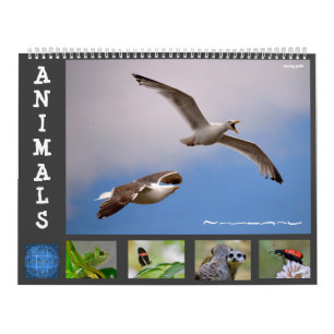 Djur 12-månaderskalender kalender