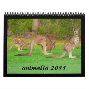 djur 2011 kalender