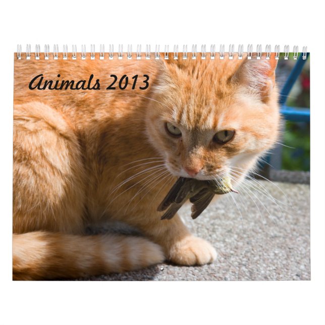 Djur 2013-kalender kalender (Omslag)
