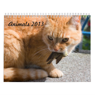 Djur 2013-kalender kalender