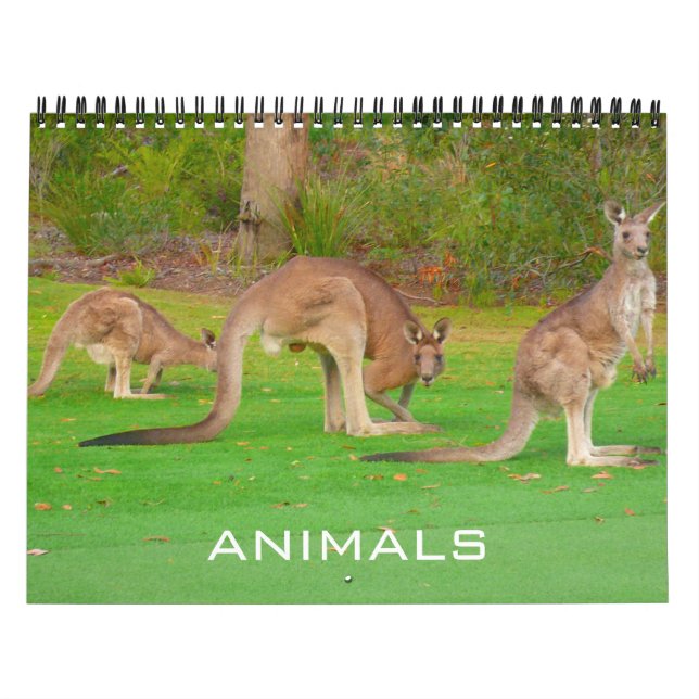 djur 2026 kalender (Omslag)