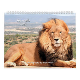 Djur 2027 kalender