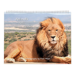Djur 2027 kalender