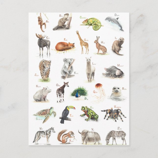 Djur ABC Vykort (Framsida)