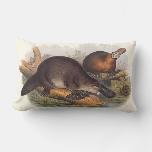 Djur av Australien dämpar Lumbarkudde (Framsida)