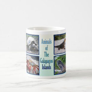 Djur av de Galapagos öarna Kaffemugg