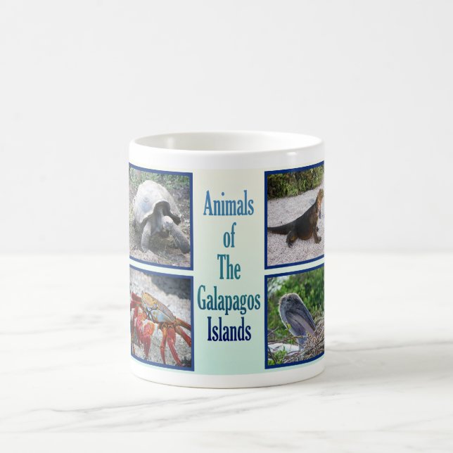Djur av de Galapagos öarna Kaffemugg (Center)