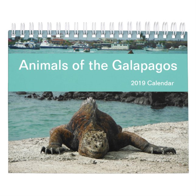 Djur av den Galapagos 2019 kalendern Kalender (Omslag)
